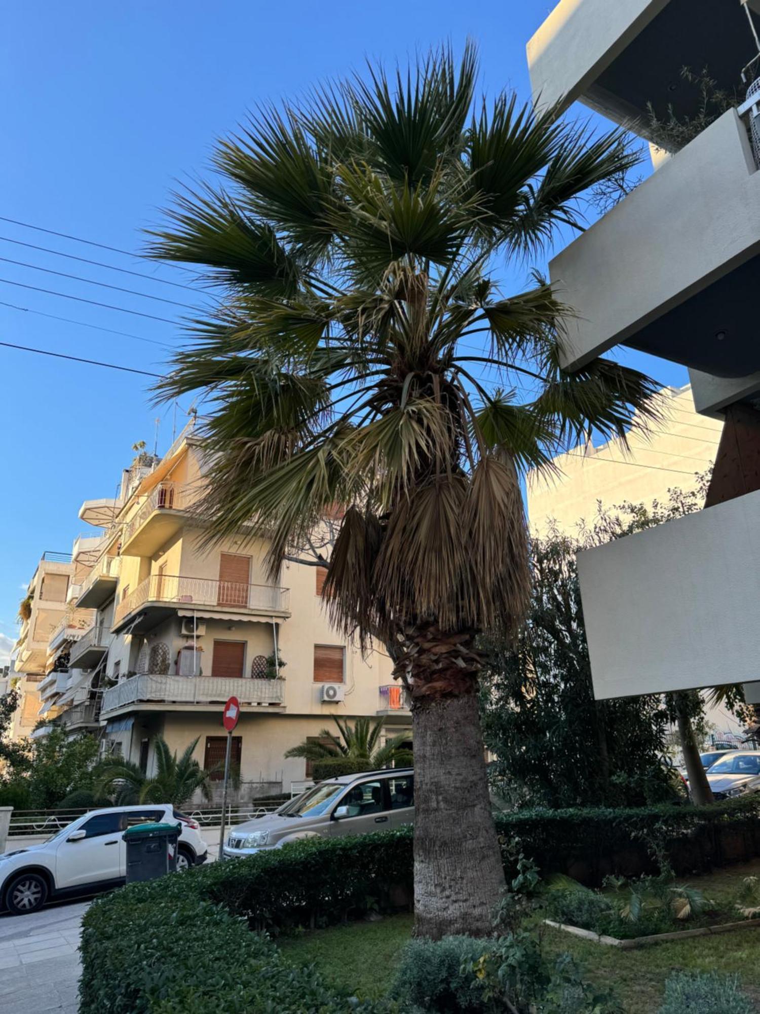 Cozy Home In Nea Smirni Αθήνα Εξωτερικό φωτογραφία